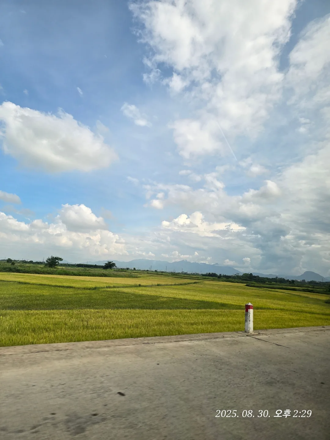 Review Đà Nẵng ✈️ Tổng hợp toàn bộ lịch trình ngày 1