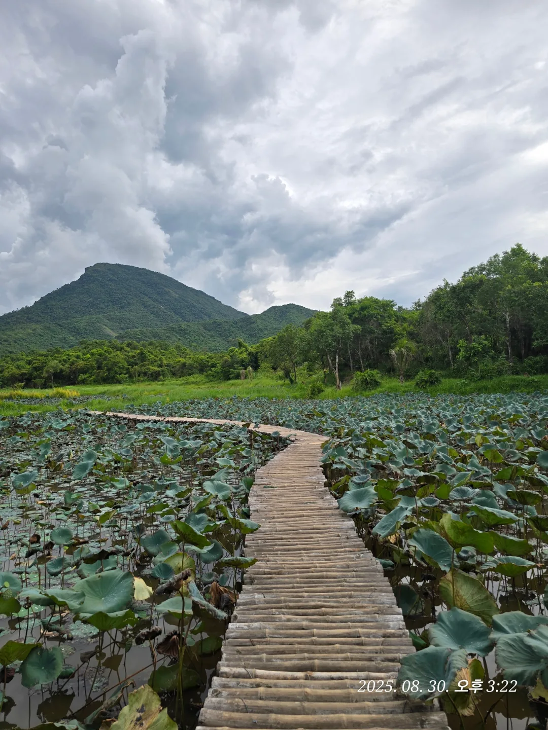 Review Đà Nẵng ✈️ Tổng hợp toàn bộ lịch trình ngày 1