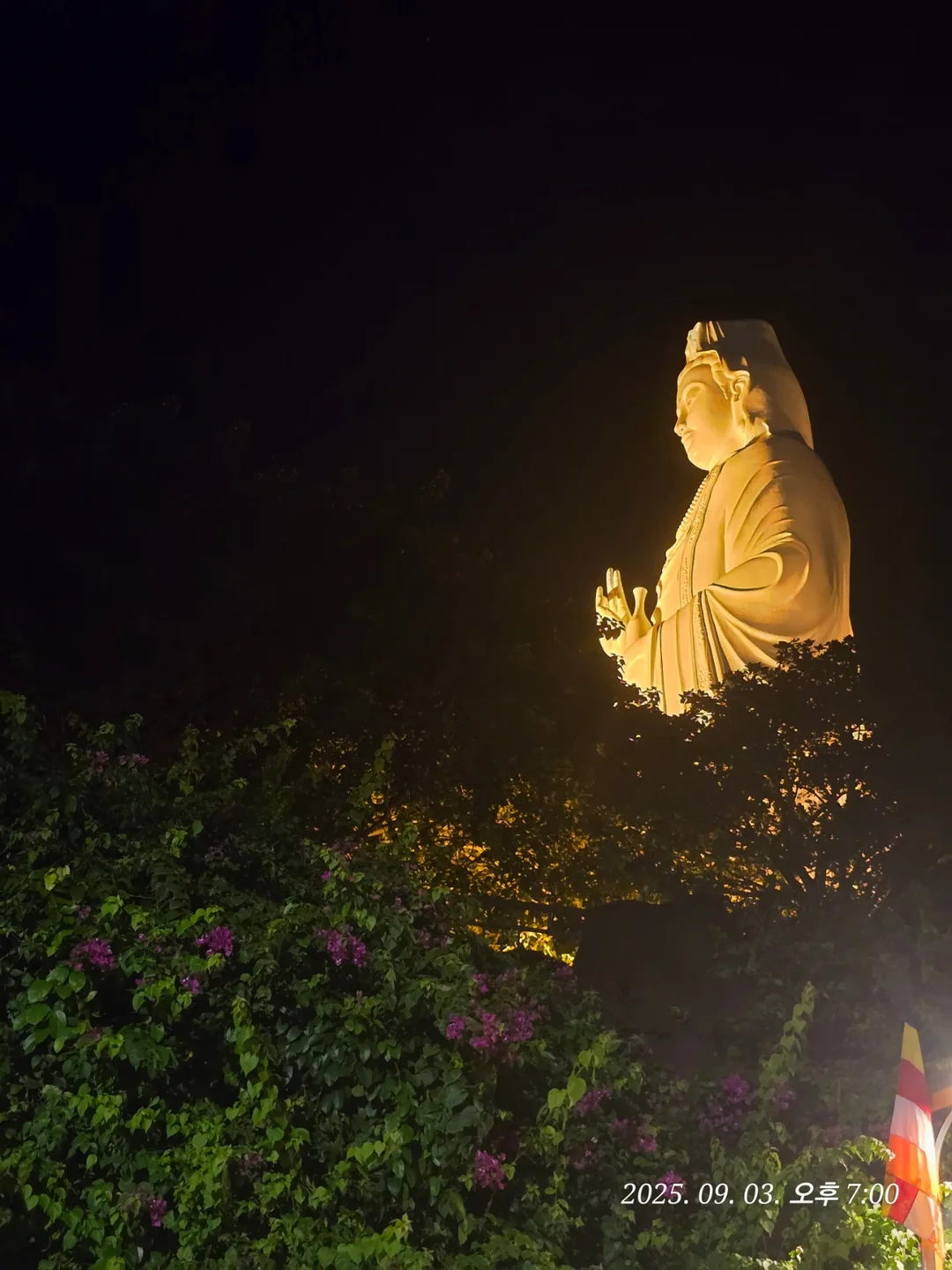 Review Đà Nẵng ✈️ Tổng hợp lịch trình ngày 5