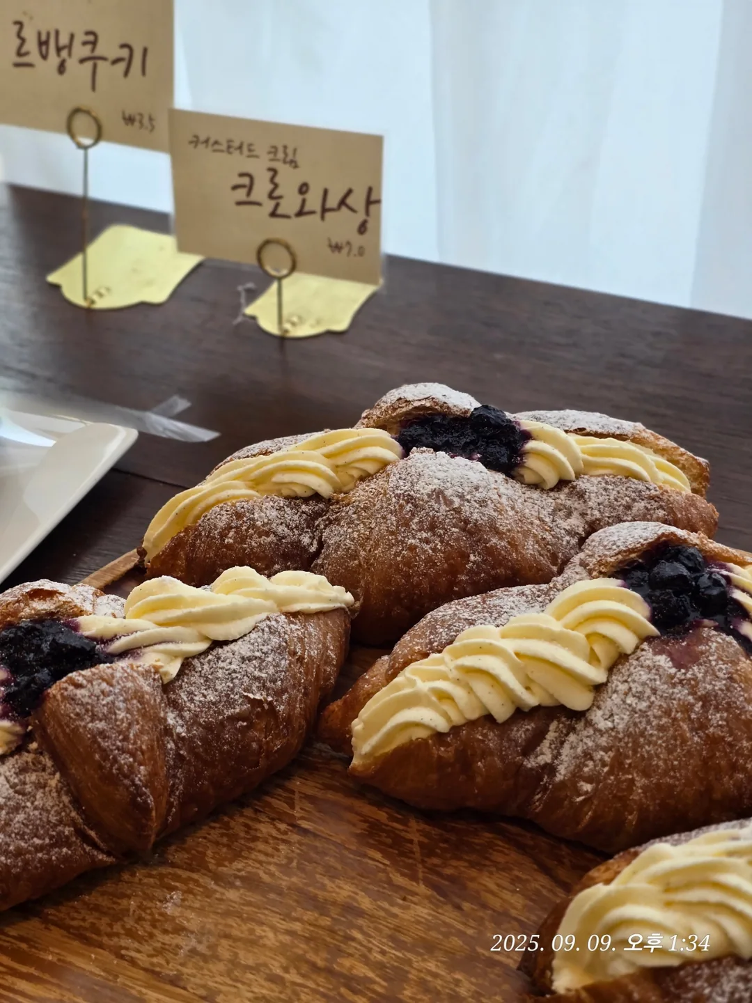 (Du lịch) Quán cà phê xinh xắn giữa lòng thành phố, Tisso Coffee ☕️