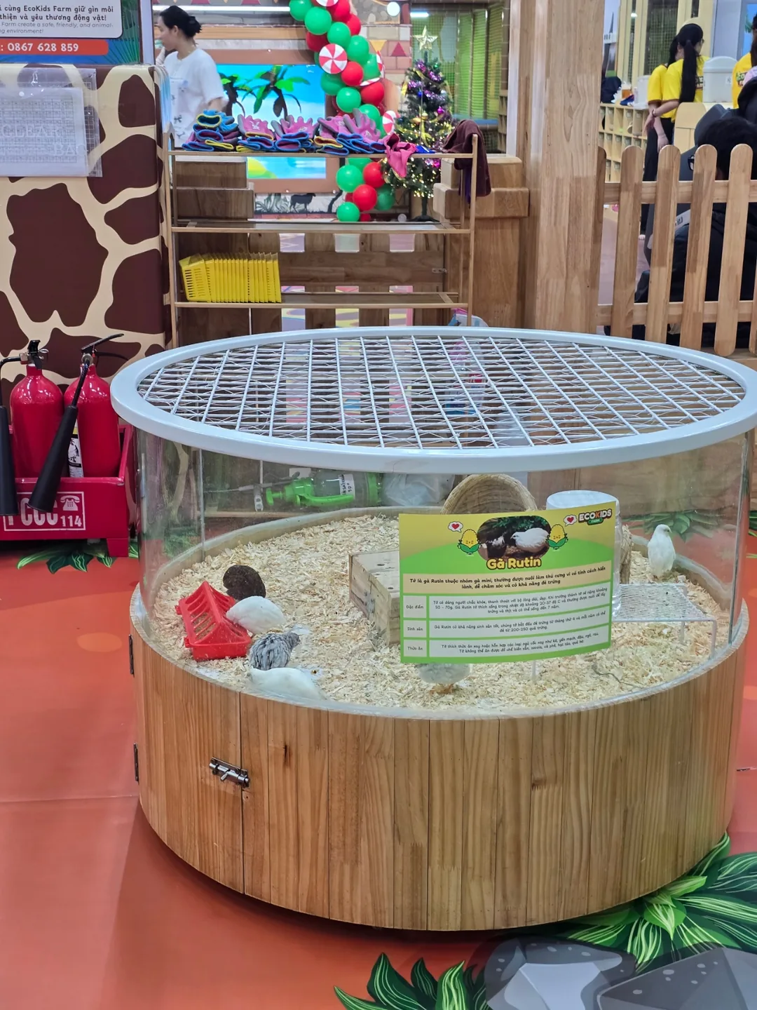 Review Đà Nẵng❣️MM Supercenter Đà Nẵng✨️Cùng dạo quanh tầng 2 nhé🤗