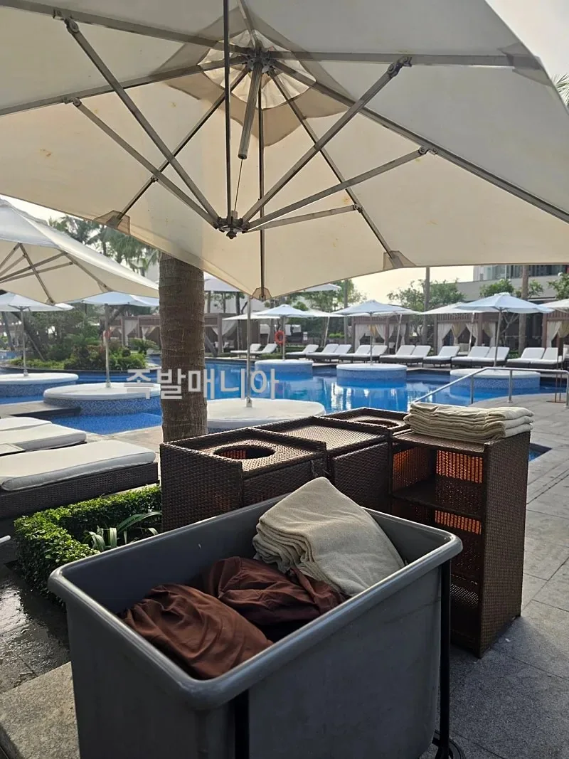 Tip sử dụng hồ bơi tại Shilla Monogram Đà Nẵng 🏊
