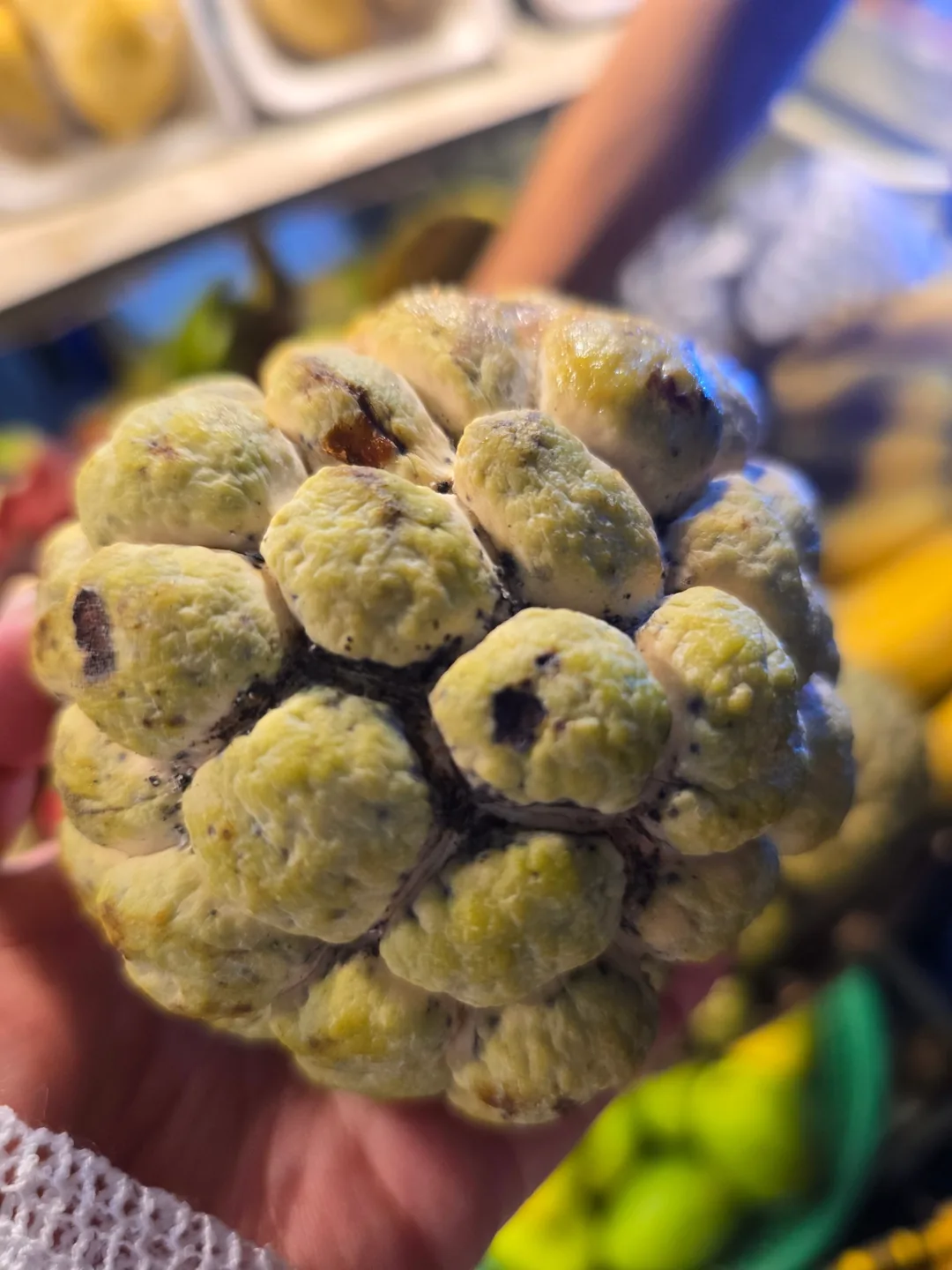 Review Đà Nẵng❣️ Sạp trái cây tử tế và có lương tâm🥭