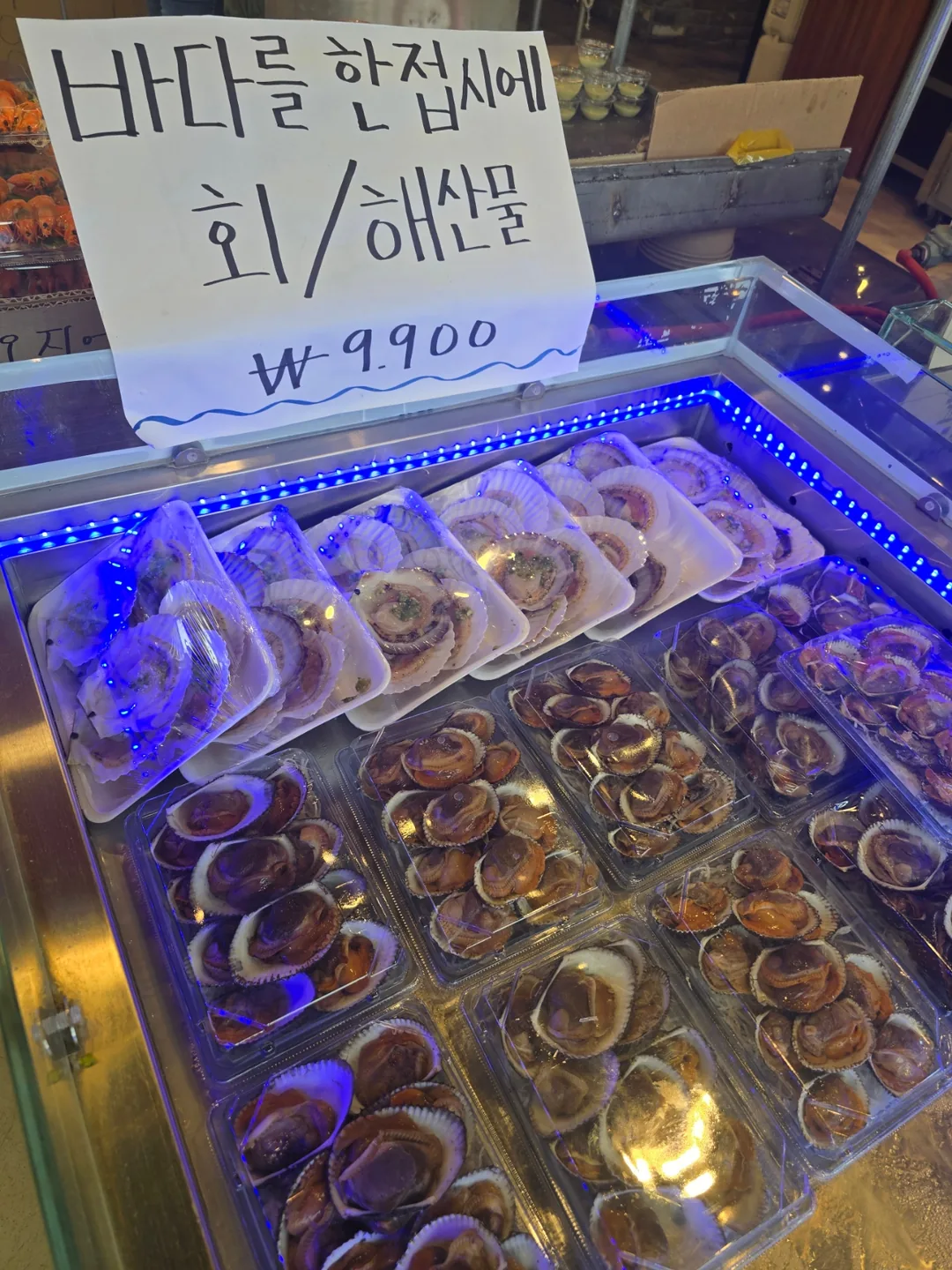 ❣️(du lịch) Chợ cá đảo Yeongjong🐟🐙🦐🐚🦑
