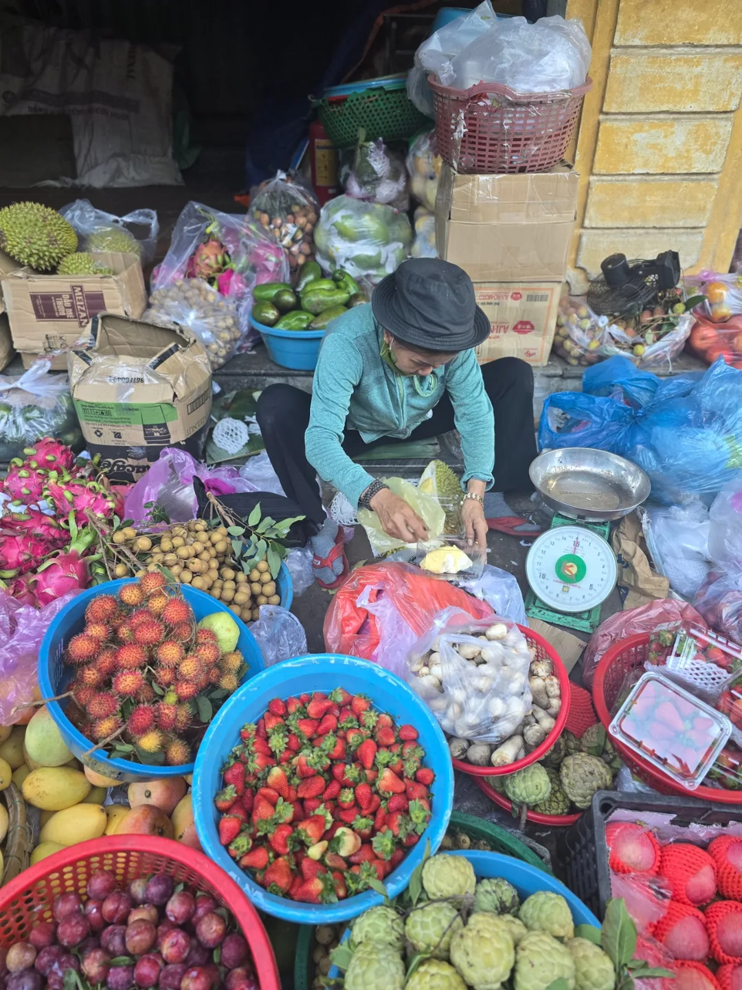 ❣️Hội An là thiên đường trái cây đó~😋