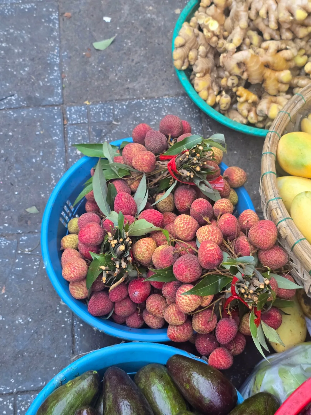 ❣️Hội An là thiên đường trái cây đó~😋