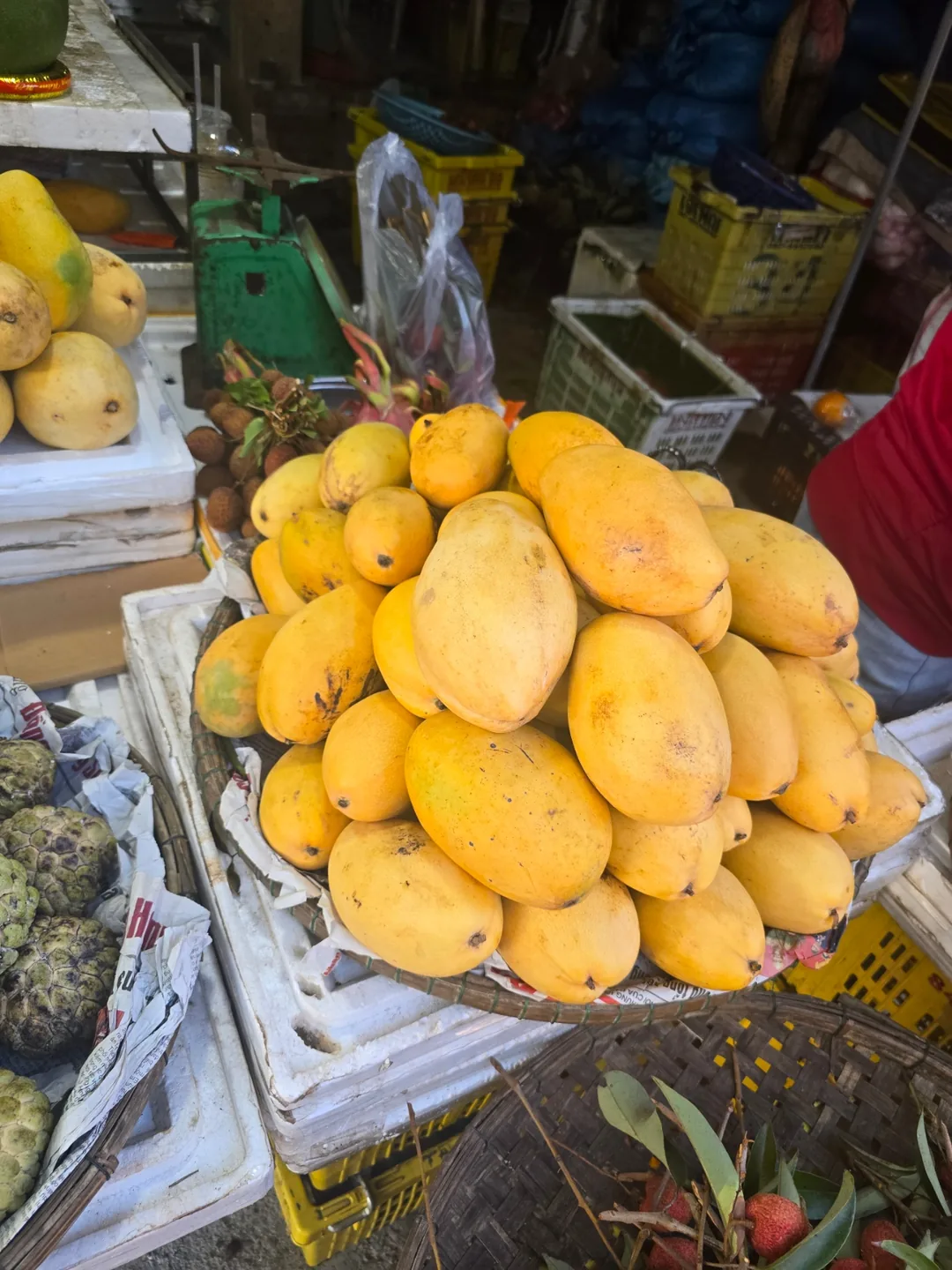 ❣️Hội An là thiên đường trái cây đó~😋