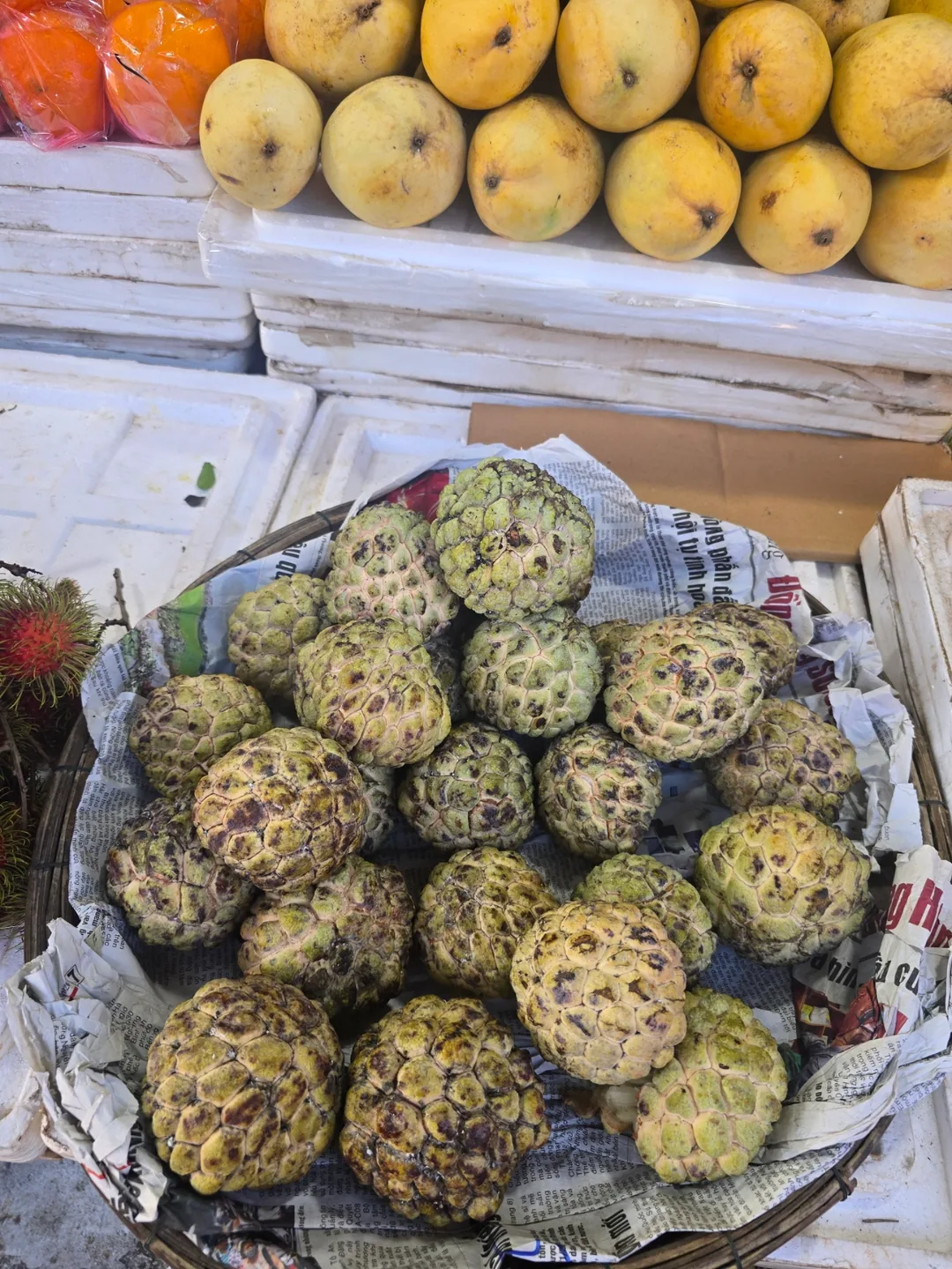 ❣️Hội An là thiên đường trái cây đó~😋