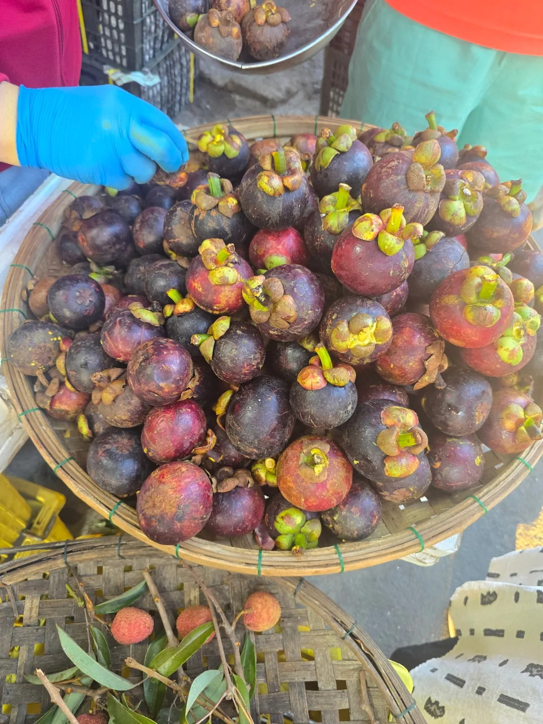 ❣️Hội An là thiên đường trái cây đó~😋