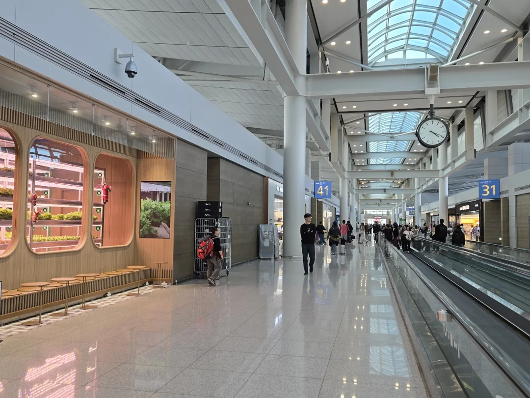 (Chuyến đi 1) livfarm ở Nhà ga 1 sân bay Incheon