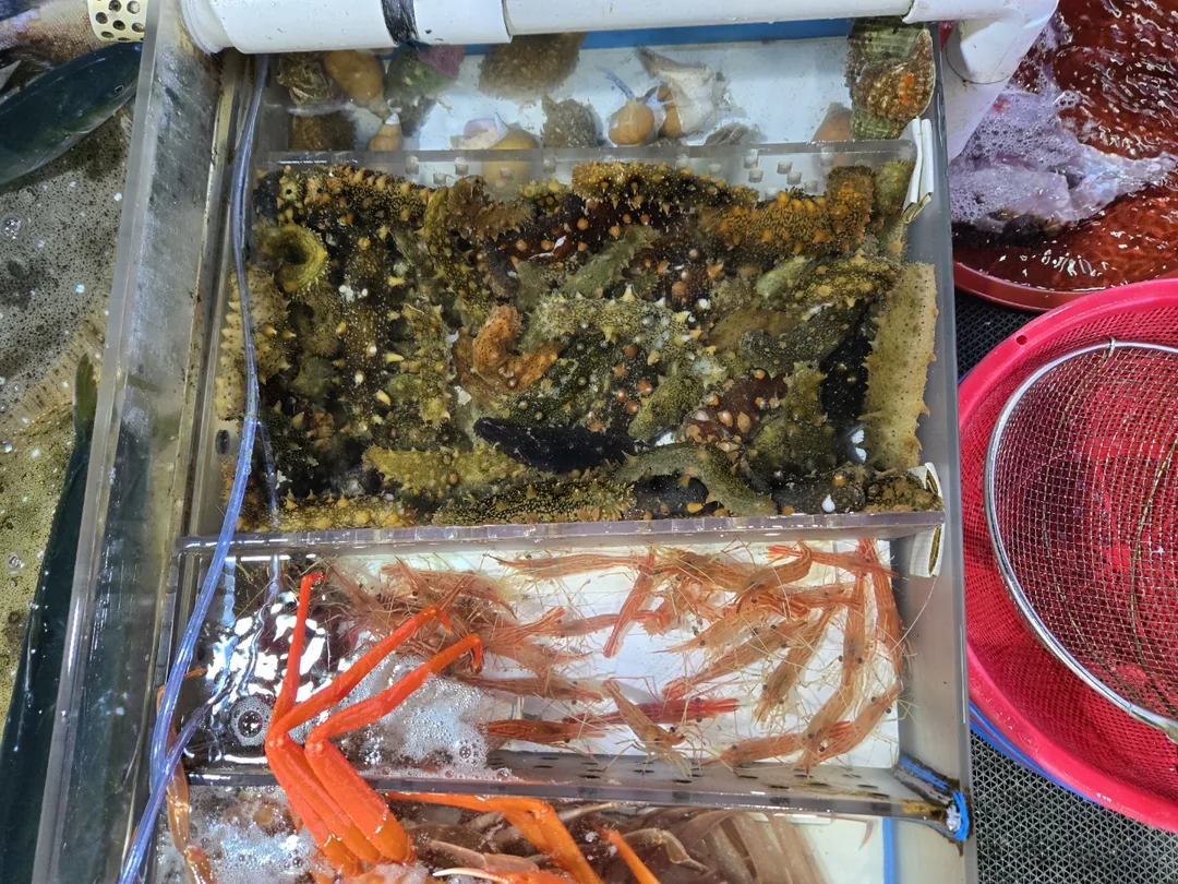 (Du lịch 3) Cảng Dongmyeong Sokcho
