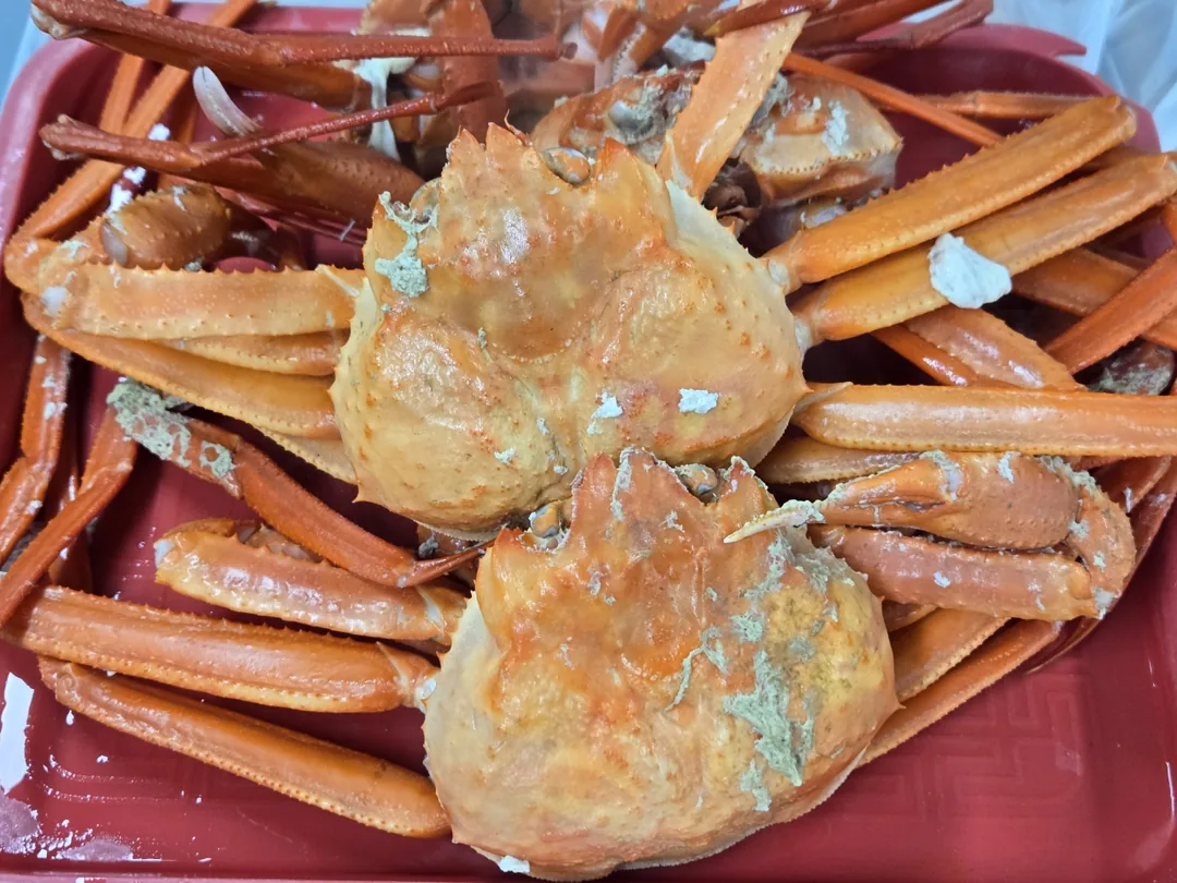 (Du lịch 3) Cảng Dongmyeong Sokcho