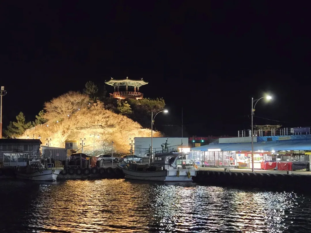 (Du lịch 3) Cảng Dongmyeong Sokcho