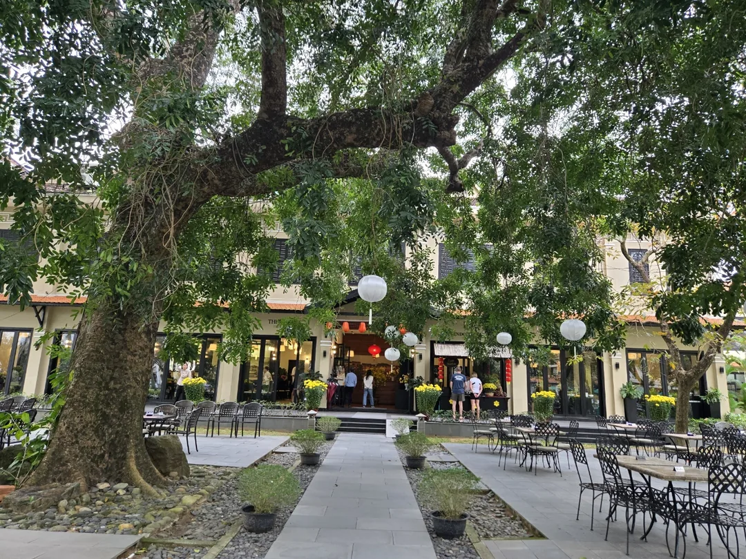 🇻🇳✍️ Đánh giá chuyến đi thứ 8 phần 19. Bữa sáng Historic