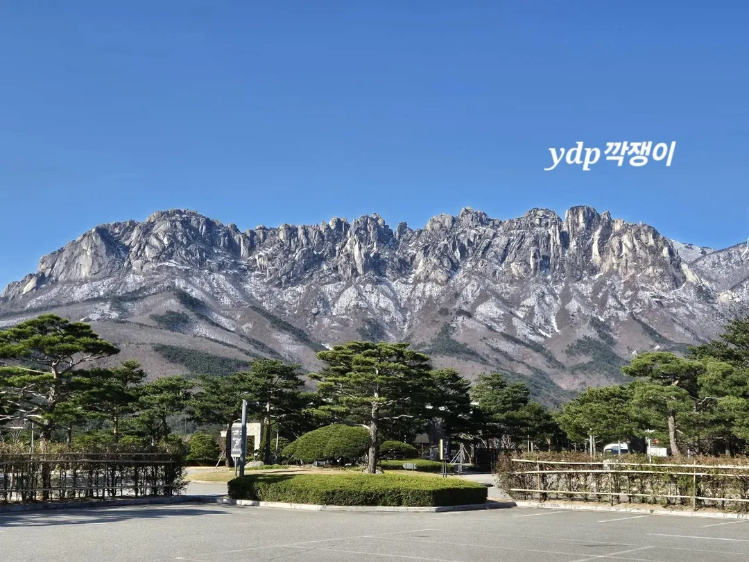 (Du lịch 3) Sokcho Daemyung Delpino Starbucks