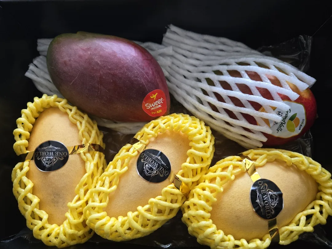 🥭 Xoài đã về nhà rồi hihi