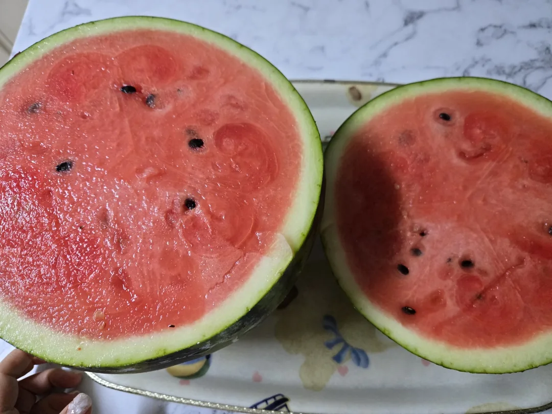 🍉 Dưa hấu nhà kính đắt tiền