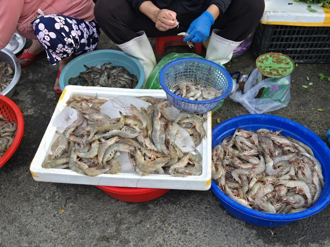 🇻🇳 Chợ sớm Hội An