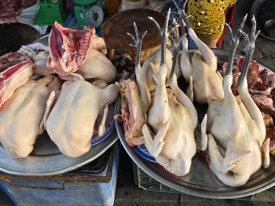 🇻🇳 Chợ sớm Hội An