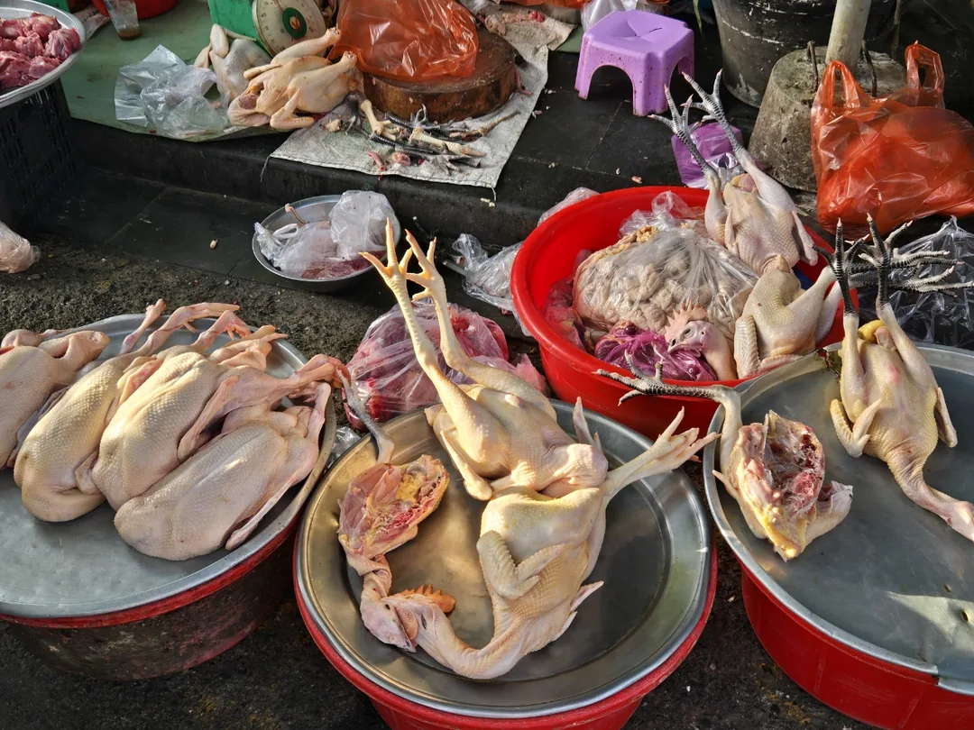 🇻🇳 Chợ sớm Hội An