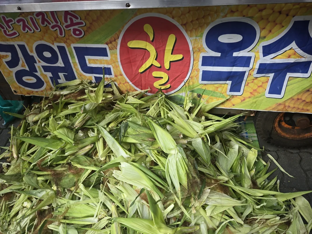 🌽 Bắp nếp ra rồi nè hihi