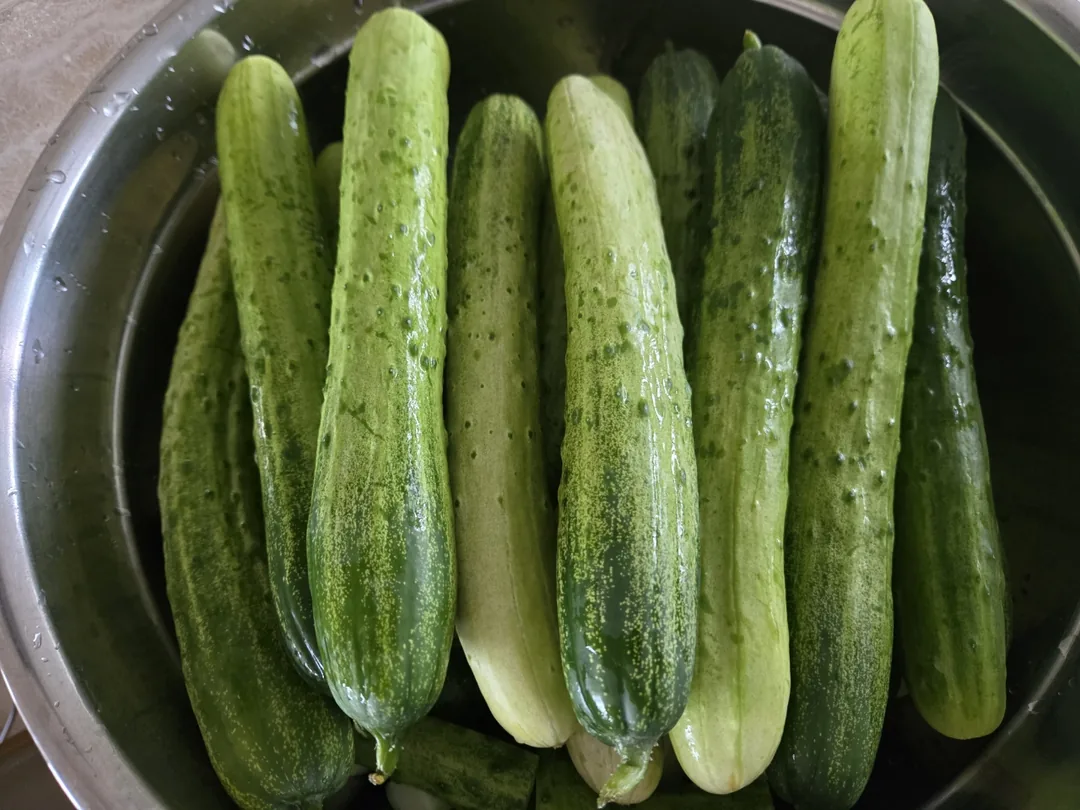 🥒 Vào giờ này...