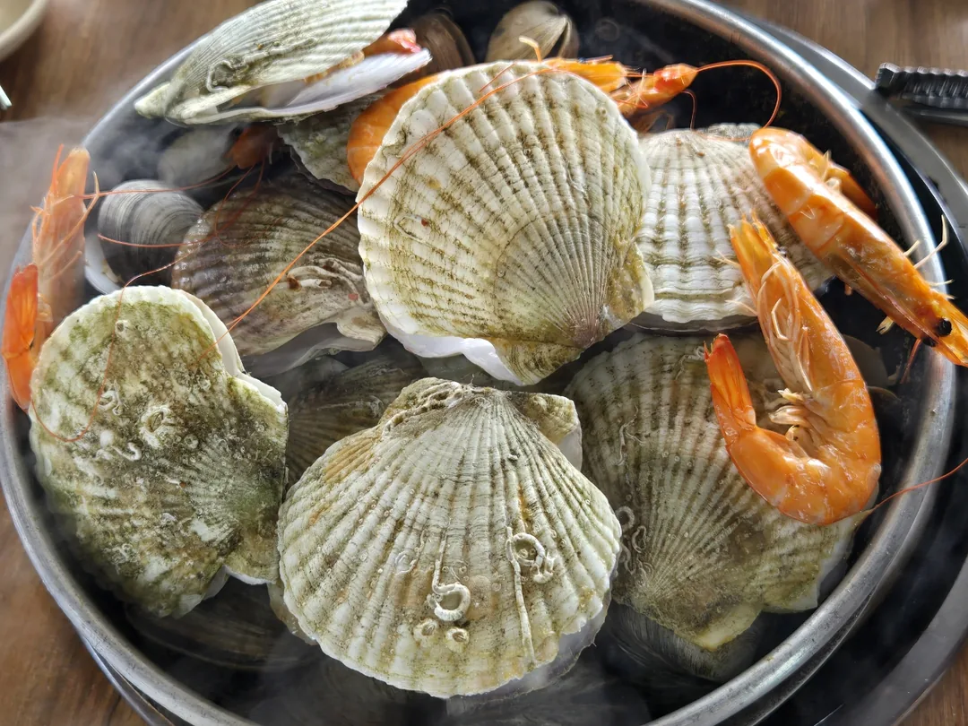 (Chuyến đi 1) 🦐 Hợp tác xã làng chài Eurwangri