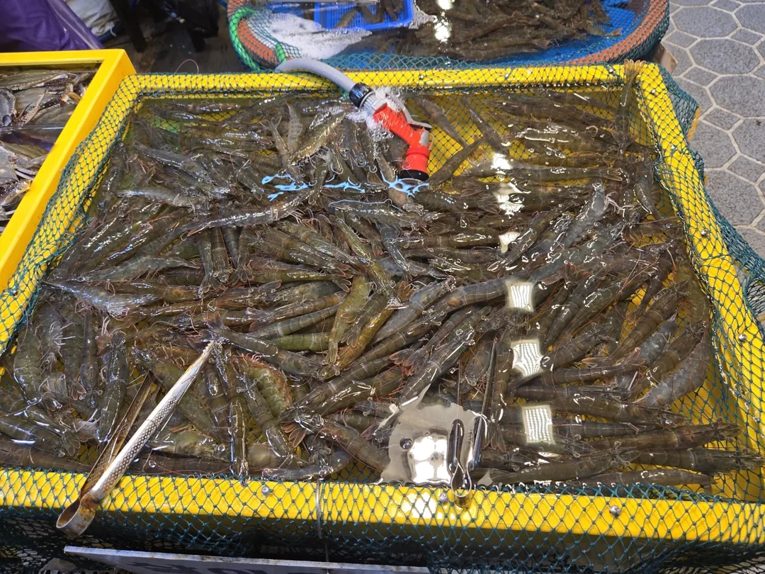 (Chuyến đi 1) 🦀 Chợ cá Sorae