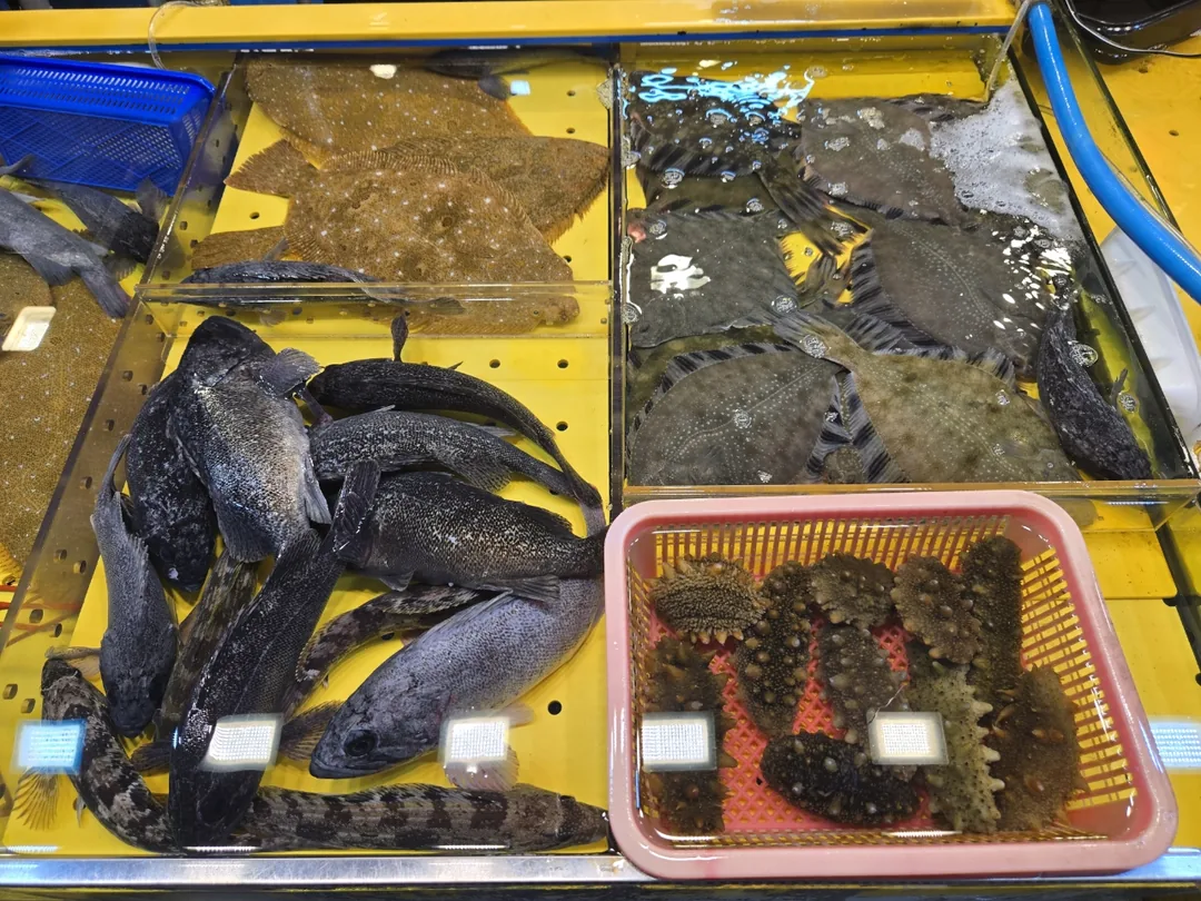 (Chuyến đi 1) 🦀 Chợ cá Sorae