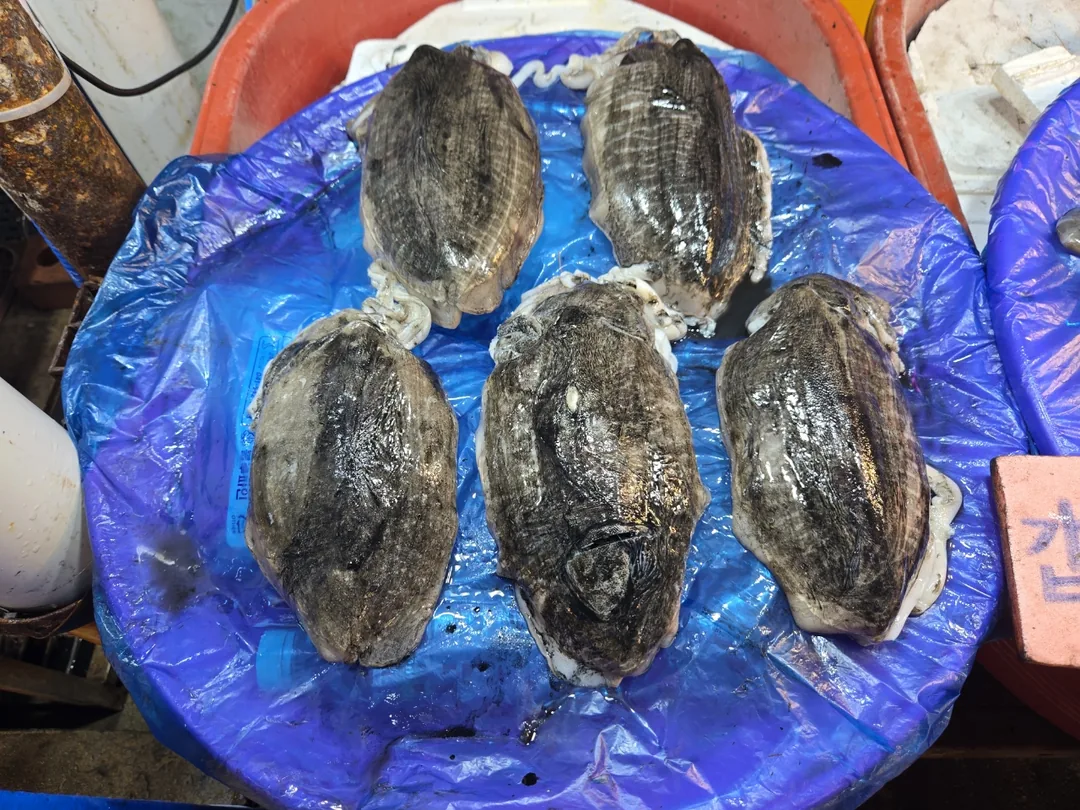 (Chuyến đi 1) 🦀 Chợ cá Sorae