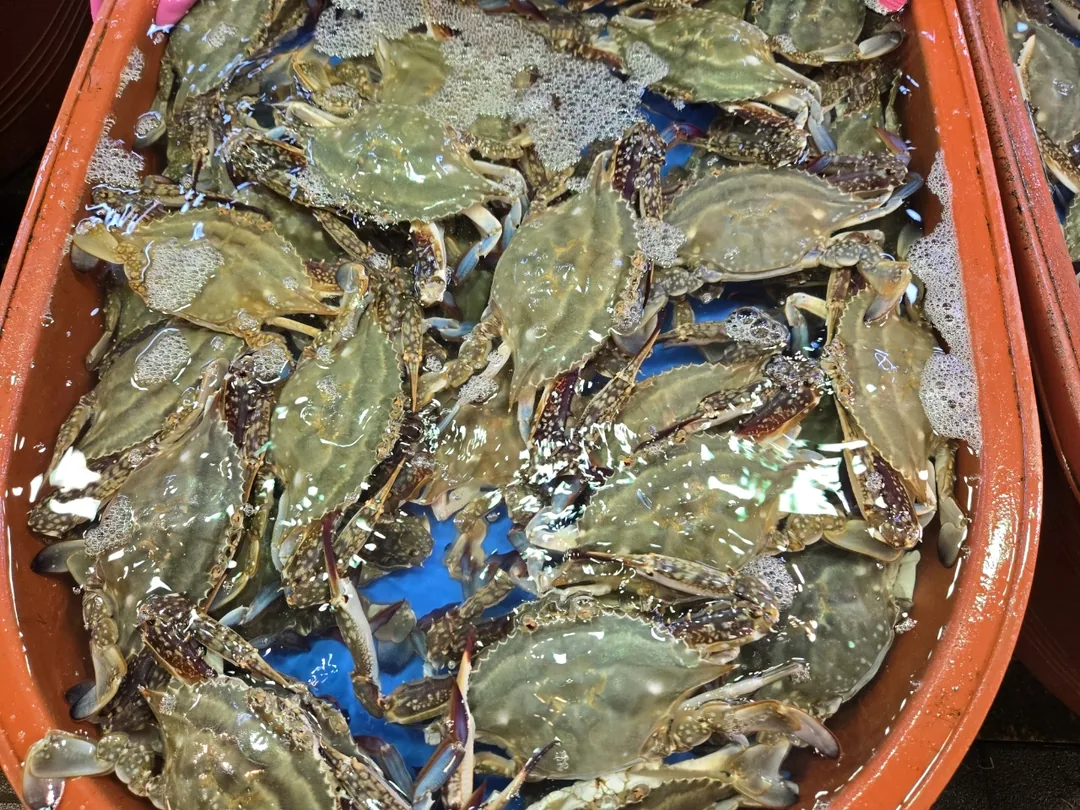 (Chuyến đi 1) 🦀 Chợ cá Sorae
