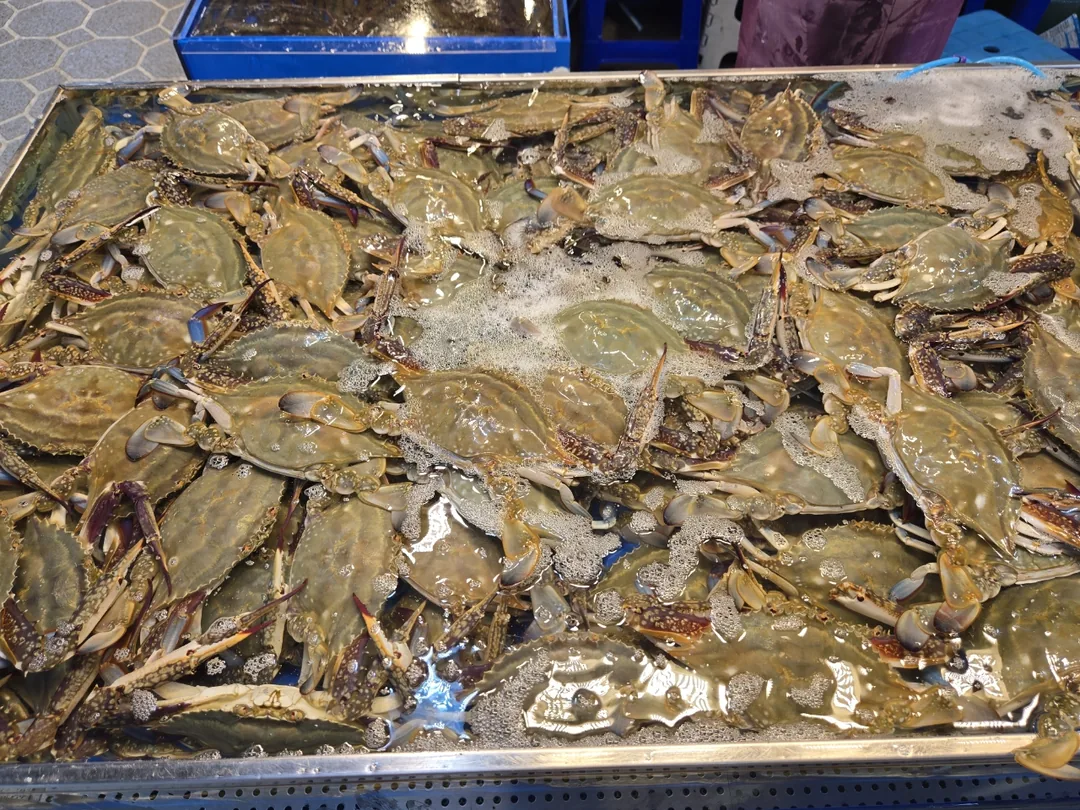 (Chuyến đi 1) 🦀 Chợ cá Sorae