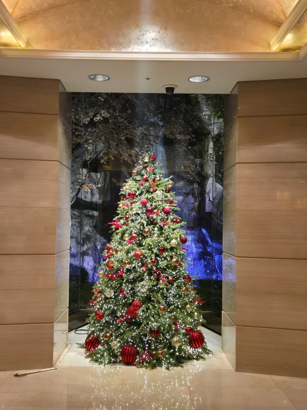 🎄 Tiệc tất niên sớm