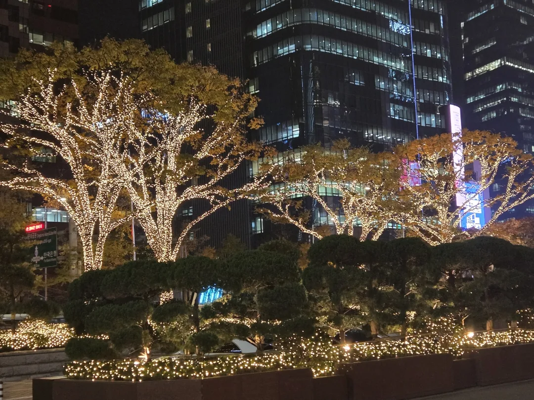 🎄 Tiệc tất niên sớm