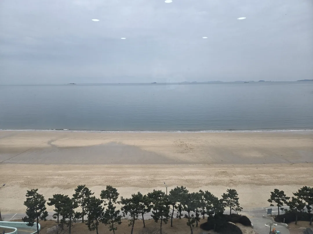 (Du lịch 2) Khách sạn Pareve Daecheon