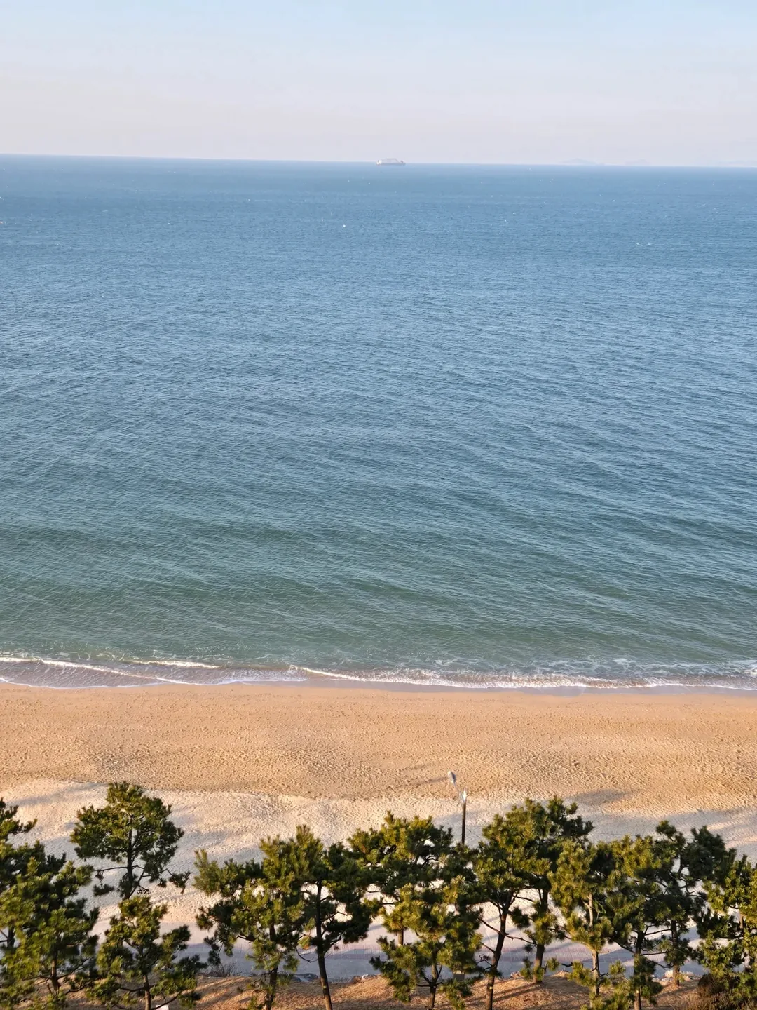 (Du lịch 3) Bãi biển Daecheon