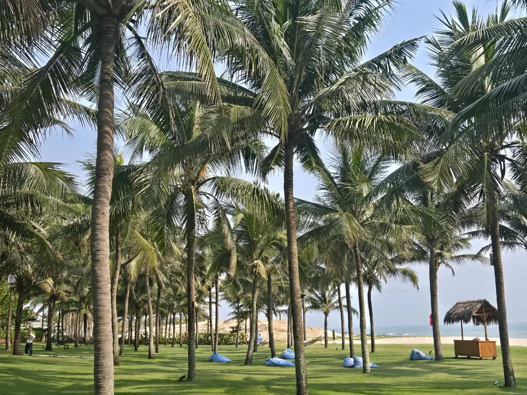 🇻🇳 Đi dạo một vòng sau bữa sáng