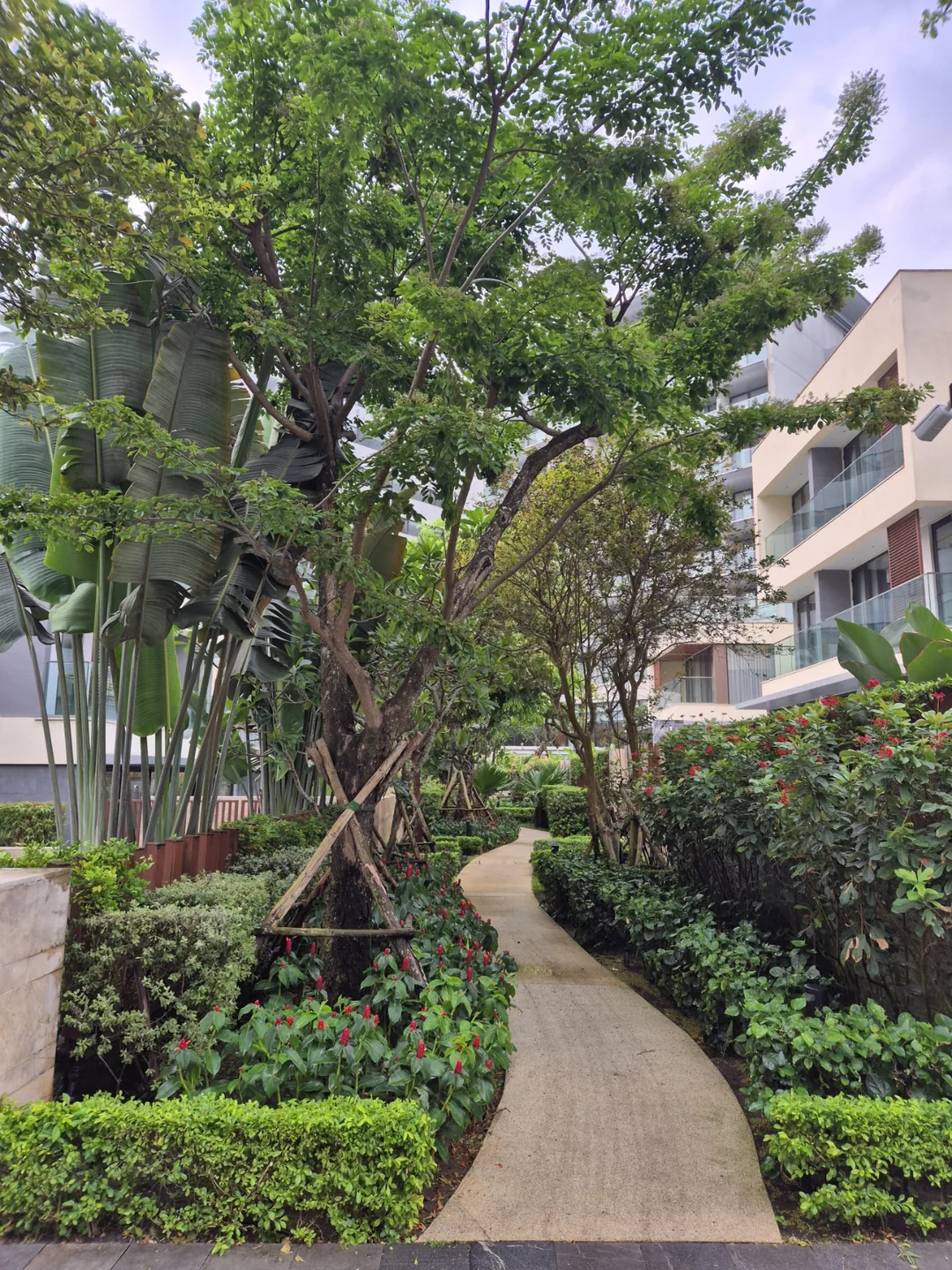 🏨 "Lối đi dạo" trong khách sạn Shilla Monogram