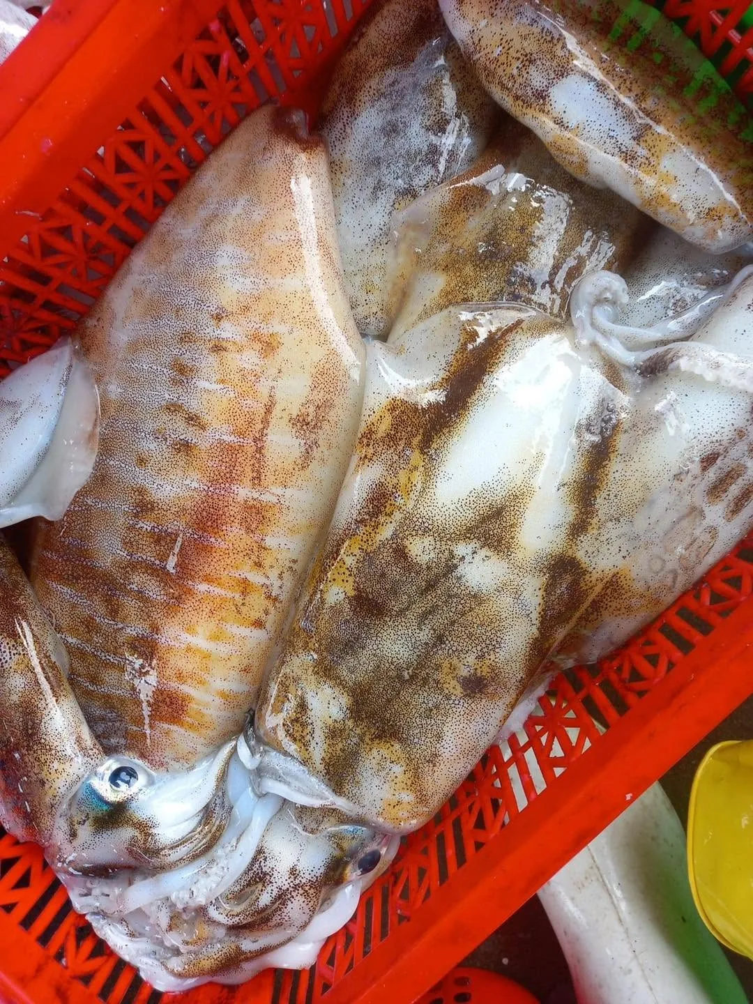 Quán Nhậu A Xử