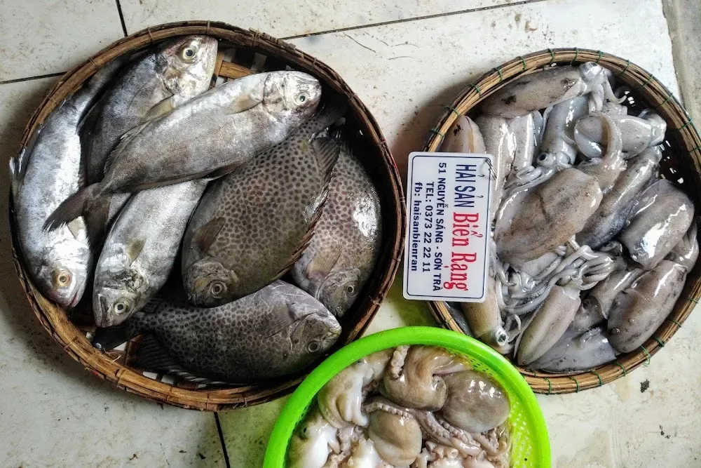 Review hải sản Đà Nẵng Sơn Trà – Thiên đường hải sản tươi ngon không thể bỏ lỡ