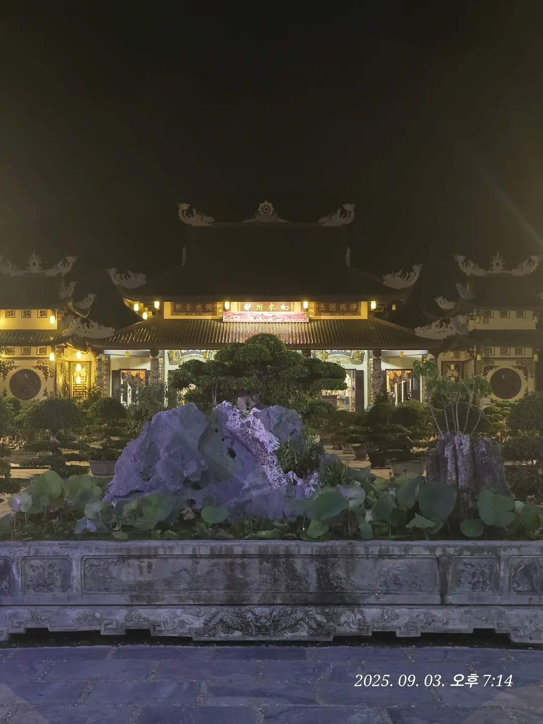 🇻🇳 Địa điểm ngắm cảnh đêm tuyệt đỉnh 👍 Chùa Linh Ứng