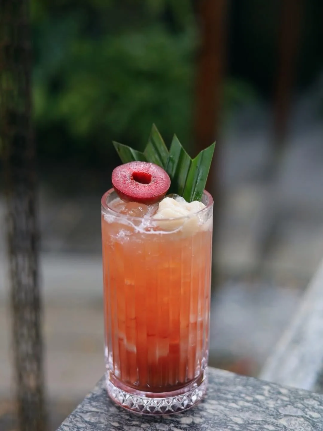 Trốn nắng với quán cà phên tropical 34