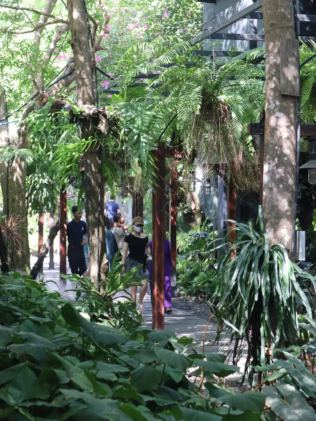 Trốn nắng với quán cà phên tropical 34