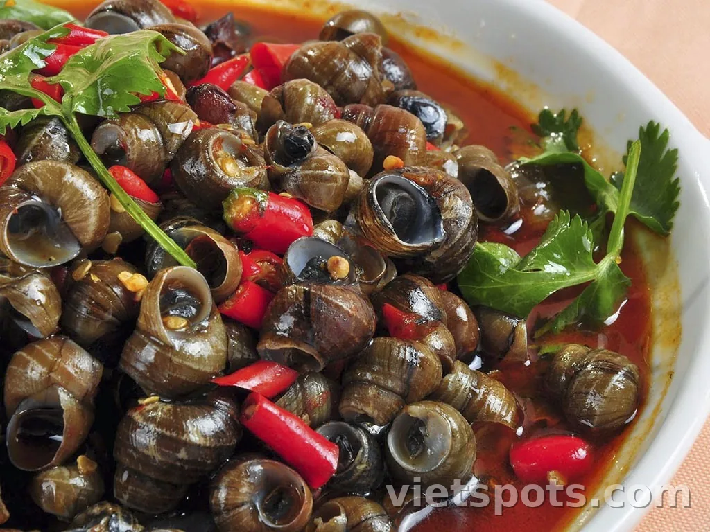 Đĩa ốc hút Đà Nẵng — ốc nhỏ xào ớt đỏ và ngò rí, nước sốt cay đậm