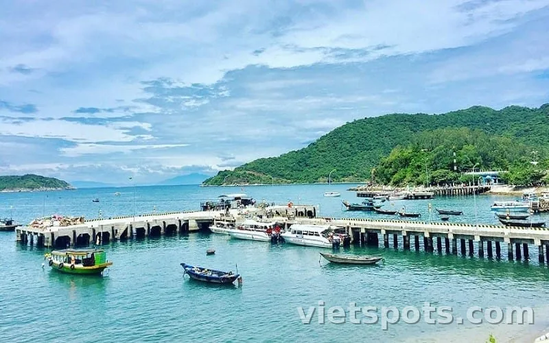Trải nghiệm lặn ngắm san hô tại đảo Cù Lao Chàm