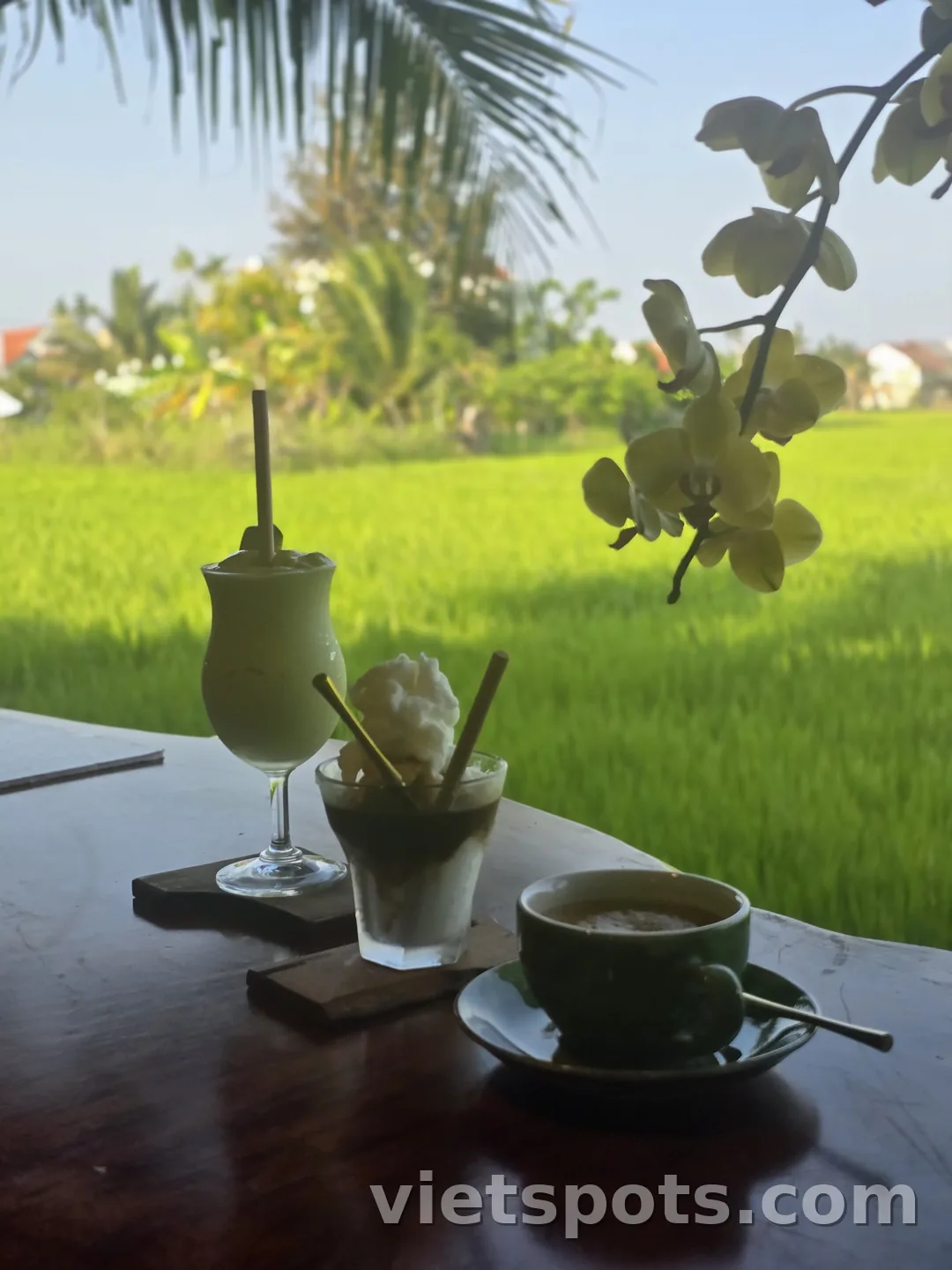 🇻🇳 Old Rice Field / Cà phê & Brunch
