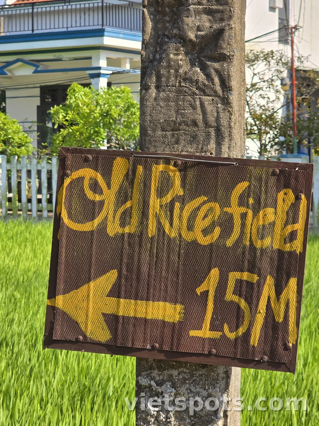 🇻🇳 Old Rice Field / Cà phê & Brunch