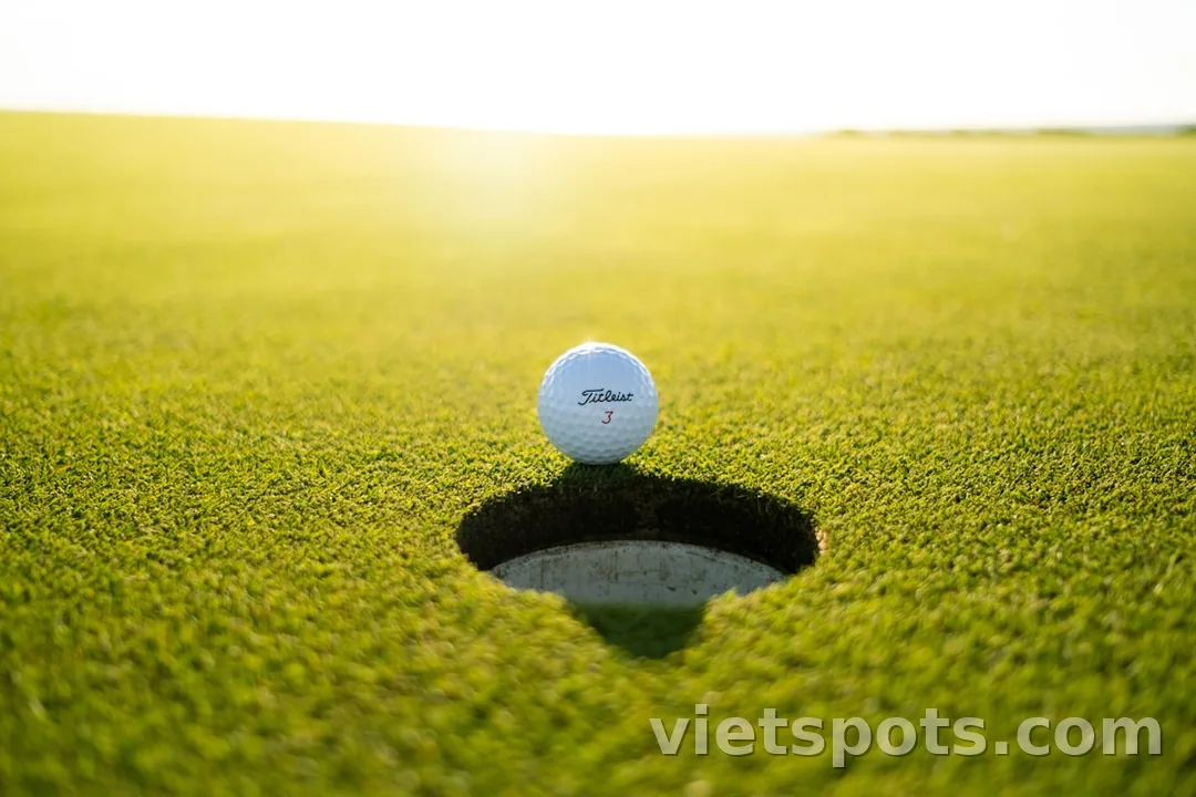 Bóng golf Titleist trên xanh cỏ green cạnh hố golf — cận cảnh sân golf
