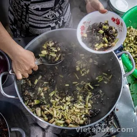 Ốc Hút Đà Nẵng – Món Ăn Vặt Đặc Sản Không Thể Bỏ Lỡ Khi Đến Thành Phố Biển