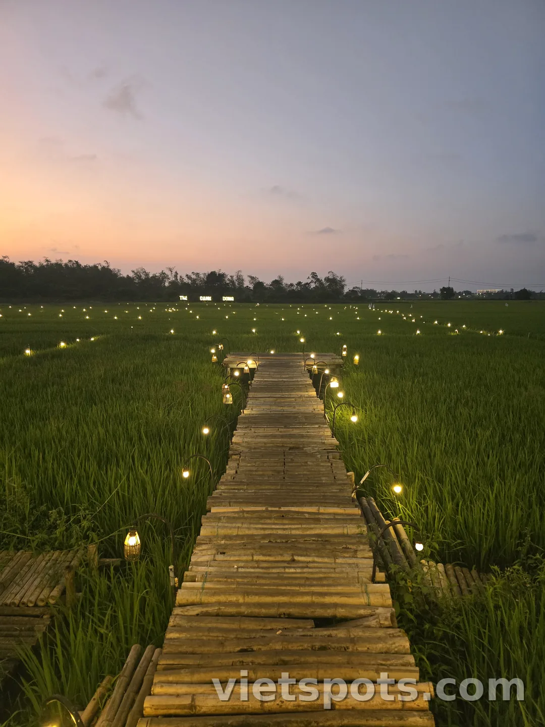 🇻🇳 The Kandom